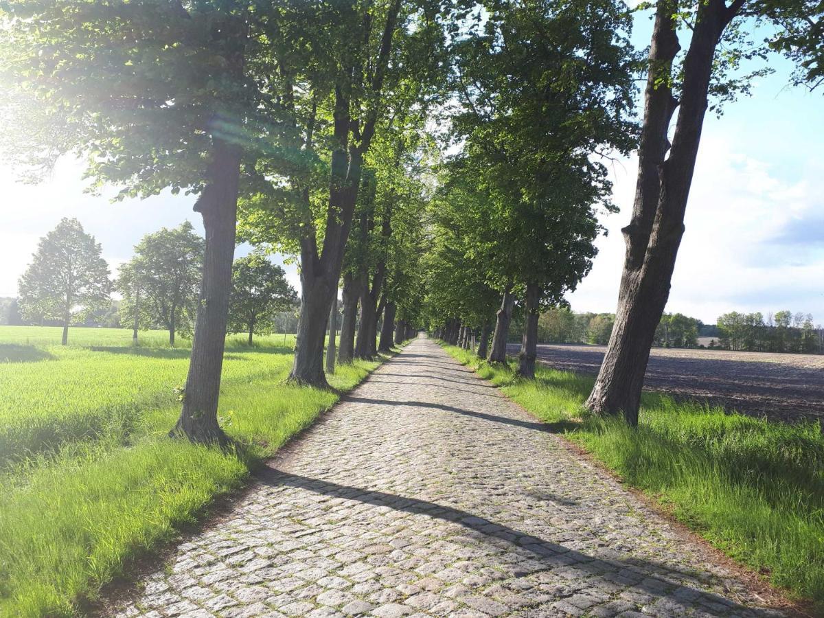 Pension Marina Lauta Exteriér fotografie